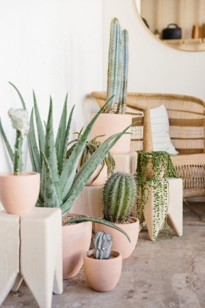 Culver City Stores- Inside Midland Shop