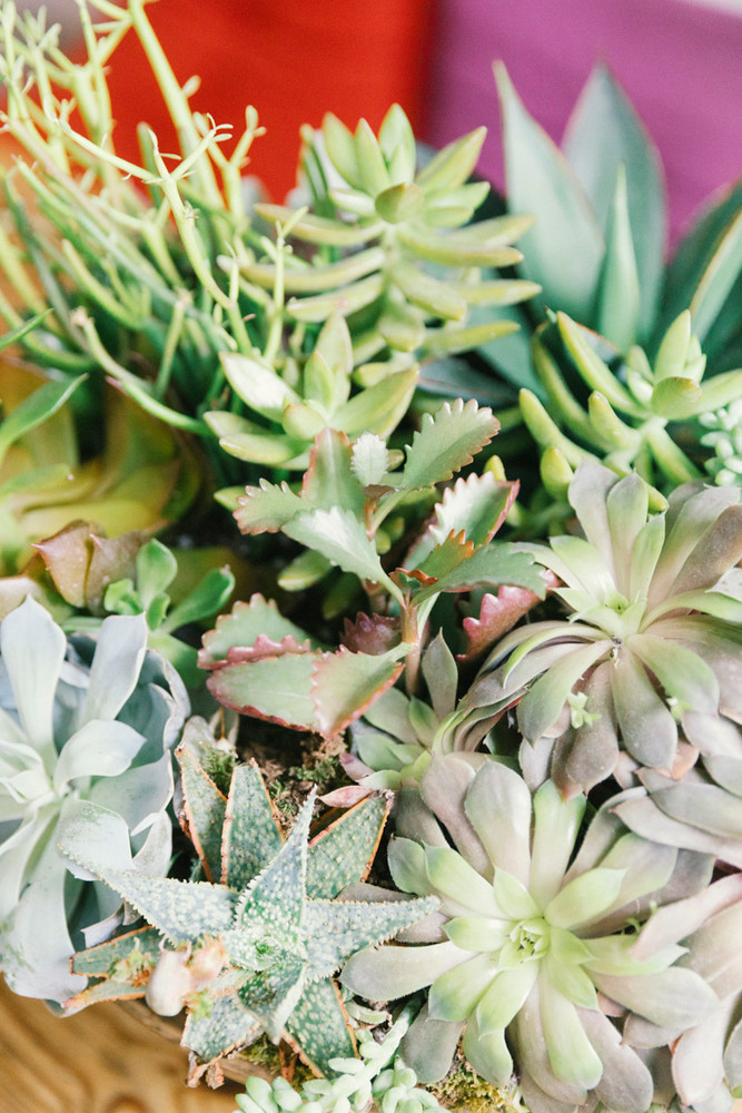 succulent wedding centerpiece zoom