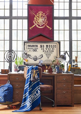 PBteen Came Out With a Harry Potter-Themed Collection and It’s Pretty Magical
