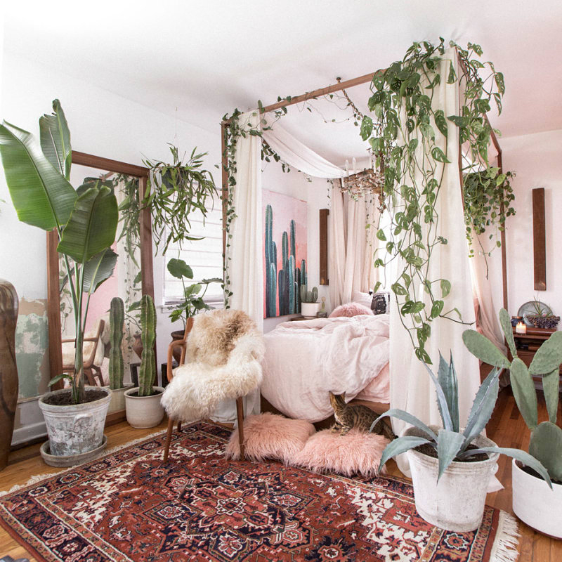 pink bedroom with plants everywhere