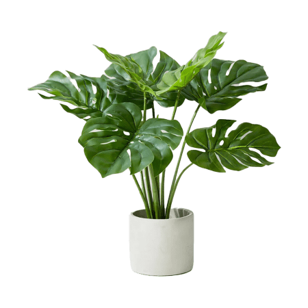  Faux Monsterra Plant in Pot