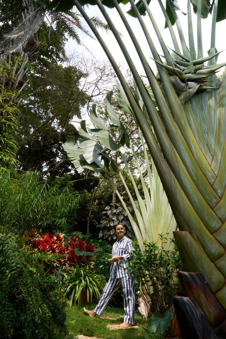 Orchids Hanging From Trees and Bowls of Fruit Are More Than They Seem in This Colombian Aerie