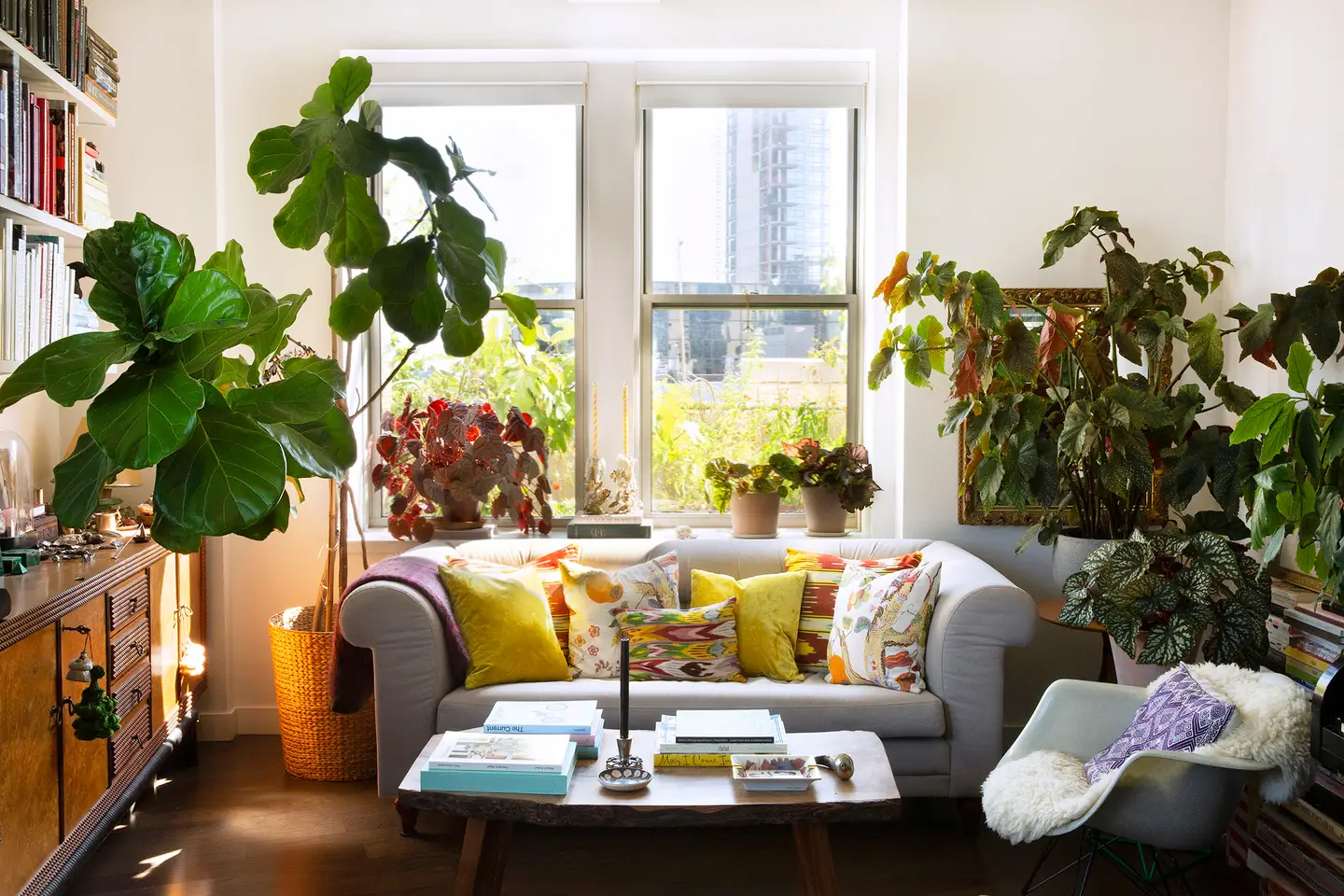 couch next to tall plant